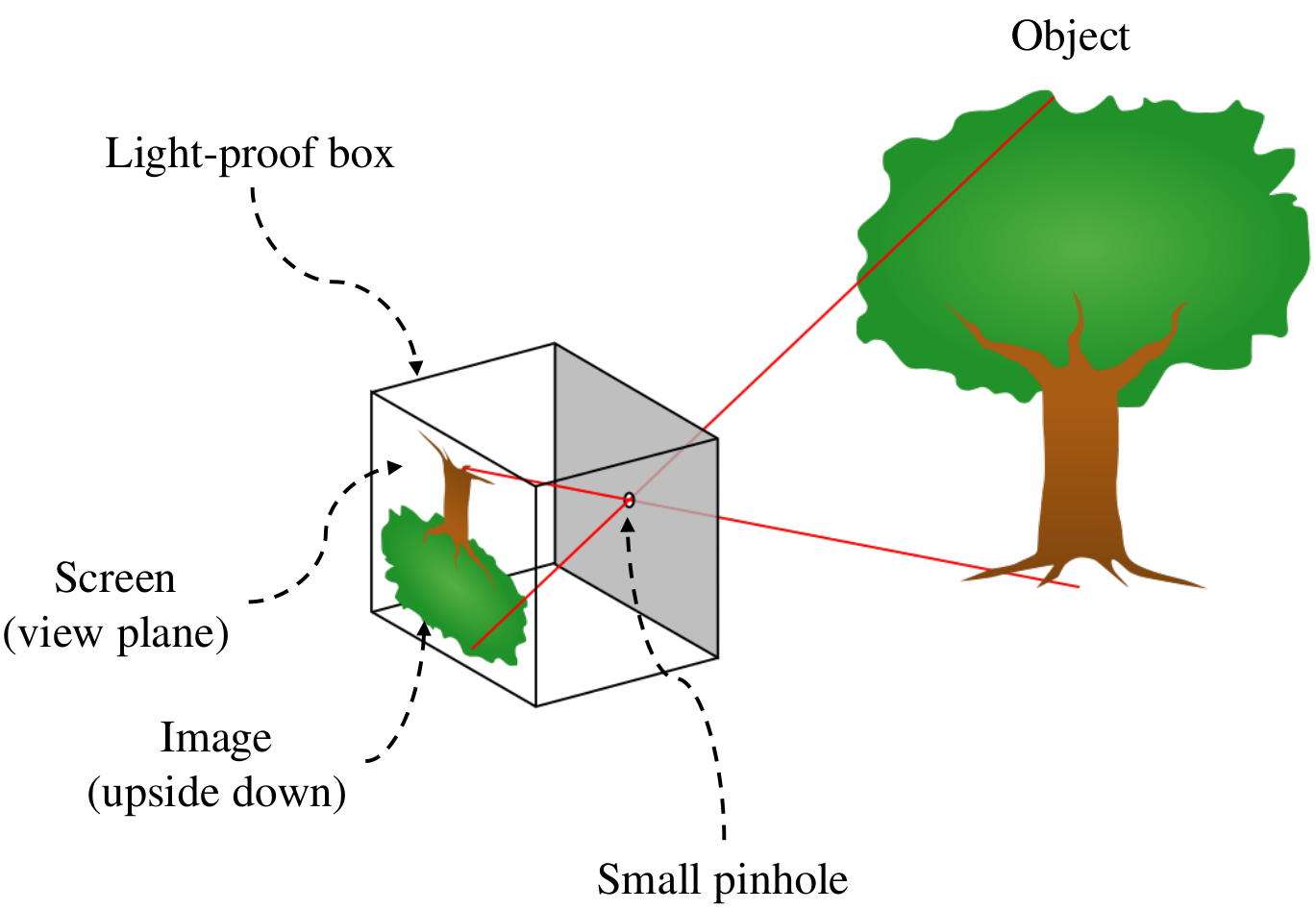 Pinhole Camera
