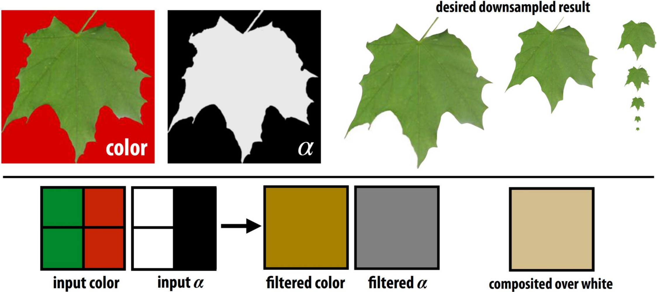 Fringing in downsampling