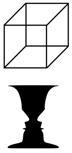 Multistability Perception