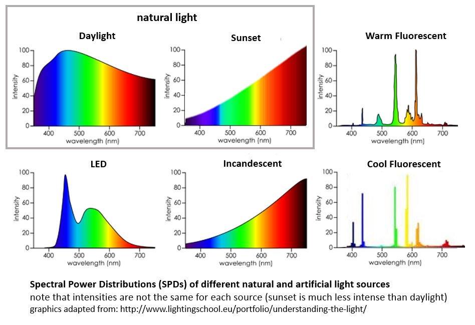 Spectral Power Distribution