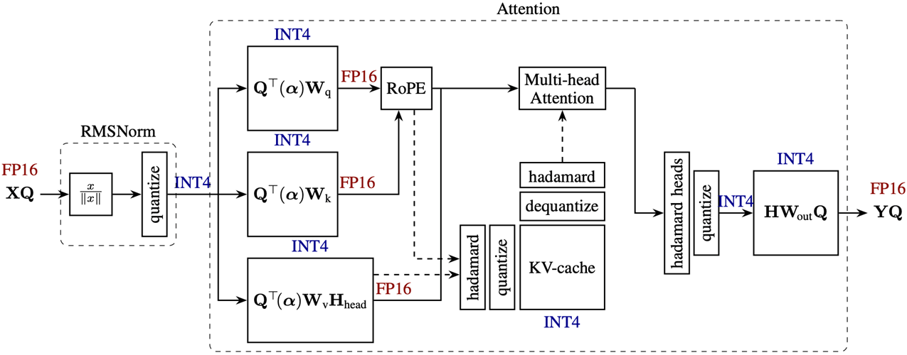 Pre-multiply rotation matrix in multi-head attention